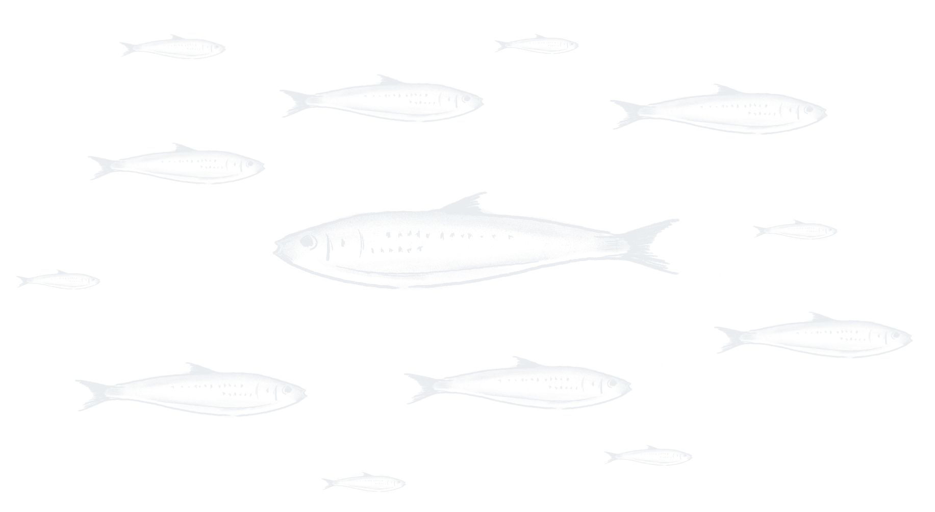 Illustration vickning och hemfärd